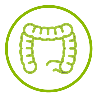 Gut Health