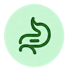 Gut Icon