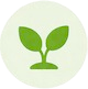 Leaf Icon