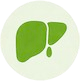 Organ Icon