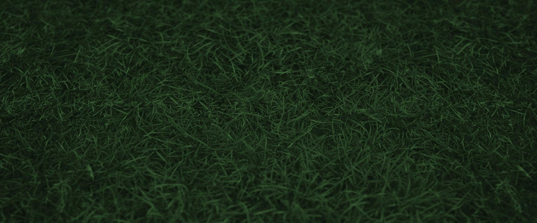 Grass