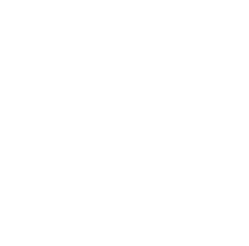 APA-Icon