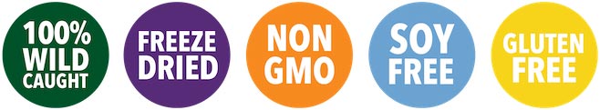 Circle-Logo