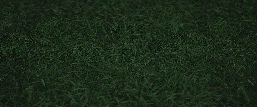 Grass