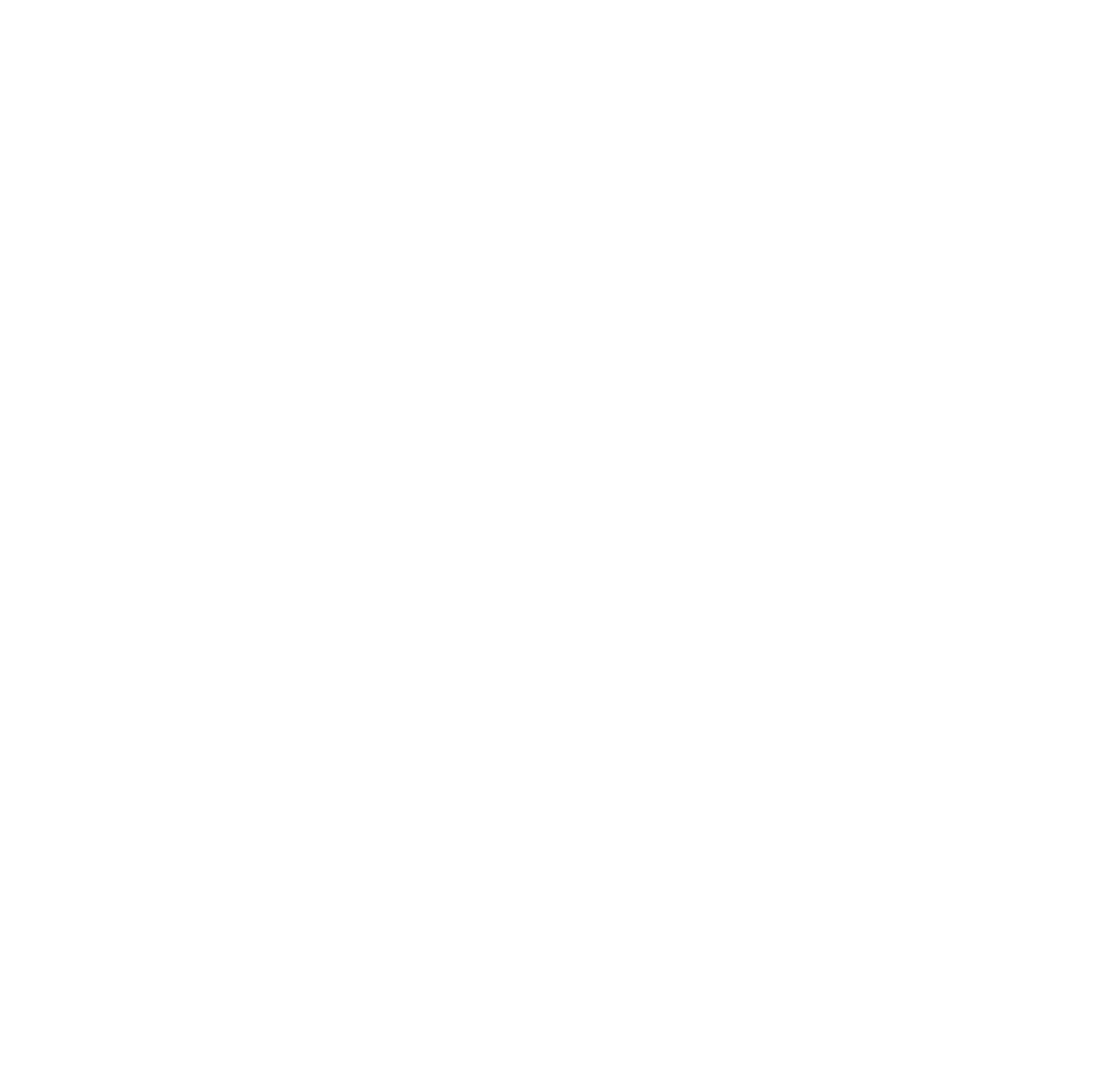 PL-Icon