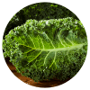 Ingredient