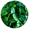 Ingredient