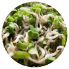 Ingredient
