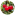 Ingredient